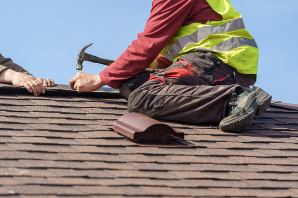 Best Roof Gutter Cleaning  in Latta, SC