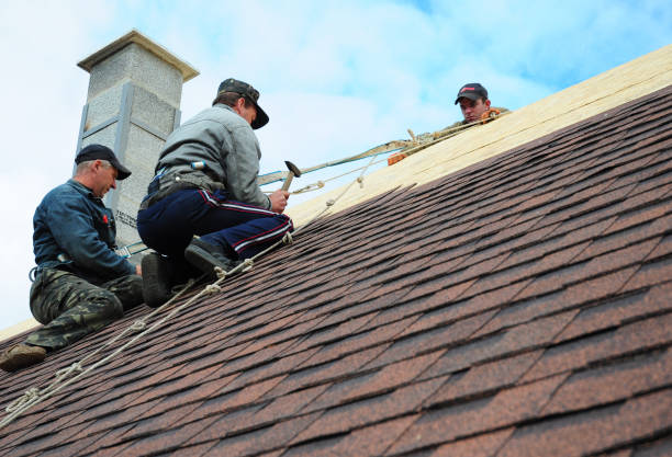 Best Storm Damage Roof Repair  in Latta, SC